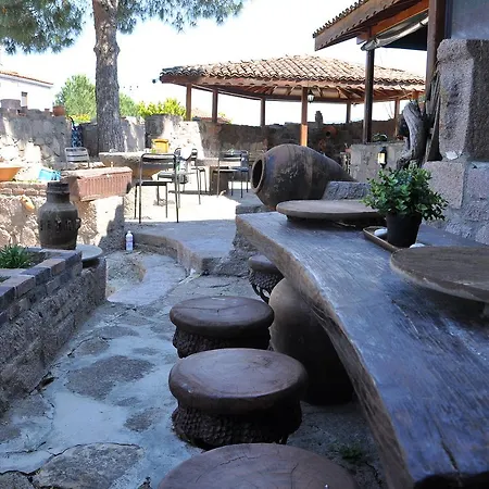Hayat Agaci