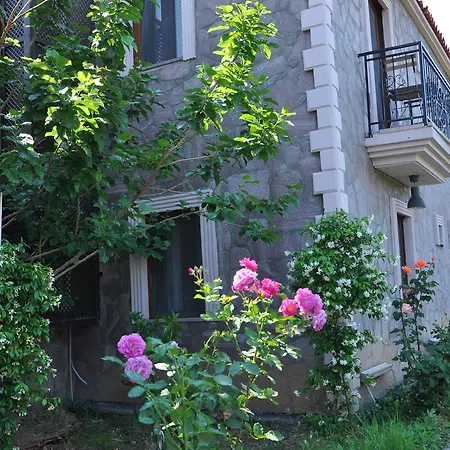Hayat Agaci Bed & Breakfast