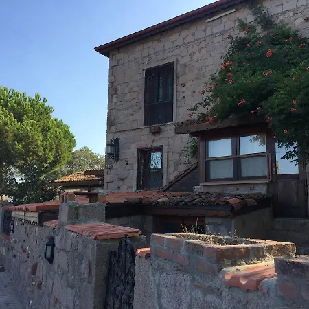 Hayat Agaci 3* Assos