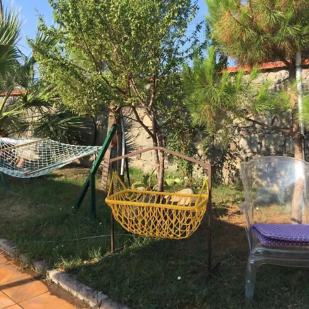 Hayat Agaci Assos