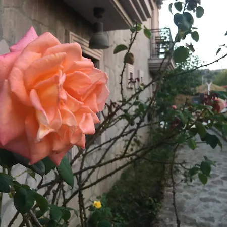 Hayat Agaci Bed & Breakfast