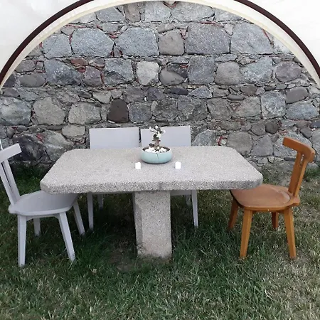 Hayat Agaci