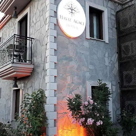 Hayat Agaci