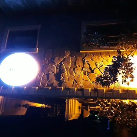 Hayat Agaci